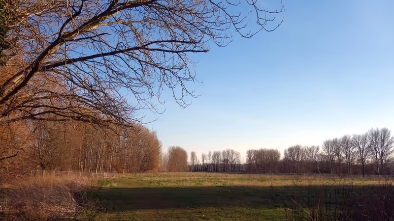 Grace Road Fields in March